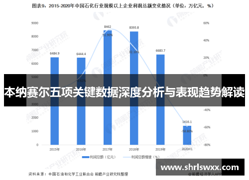 本纳赛尔五项关键数据深度分析与表现趋势解读