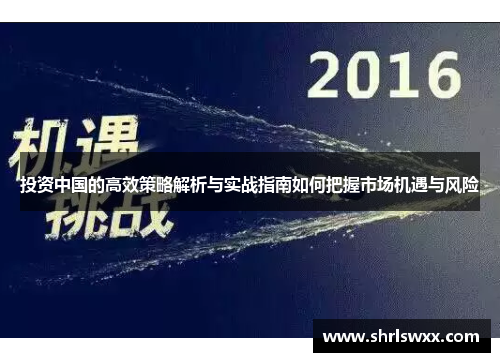投资中国的高效策略解析与实战指南如何把握市场机遇与风险