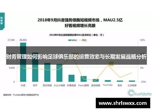 财务管理如何影响足球俱乐部的运营效率与长期发展战略分析 财务管理如何影响足球俱乐部的运营效率与长期发展战略分析